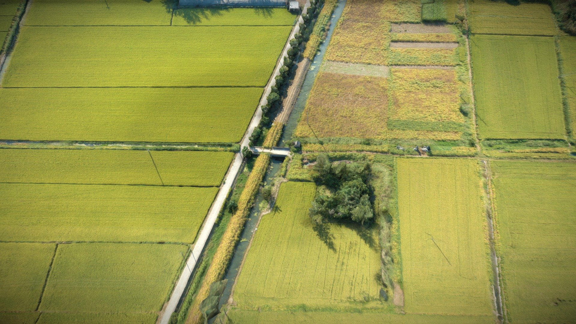 Village, country road, farm and irrigation canal Download Free 3D