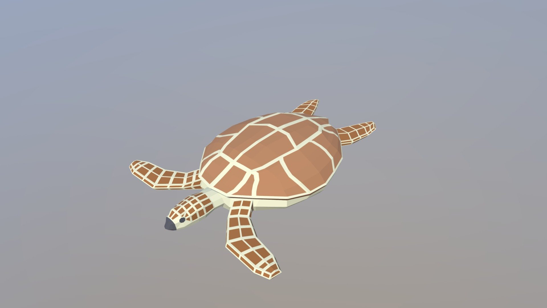 Low Poly Cartoon Loggerhead Sea Turtle Buy Royalty Free