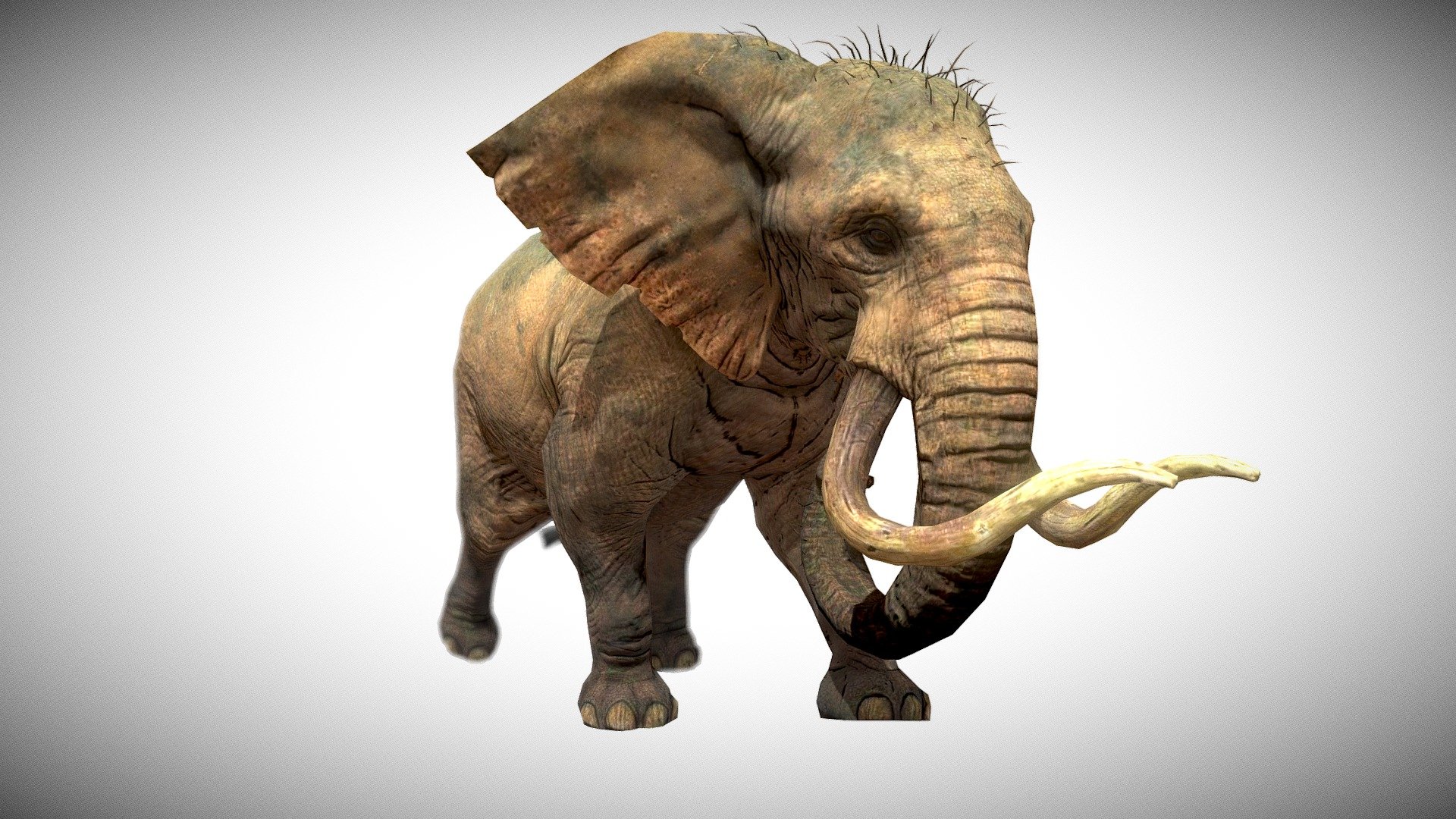 Elephant - 3D model by ElectroNick [dda567d] - Sketchfab