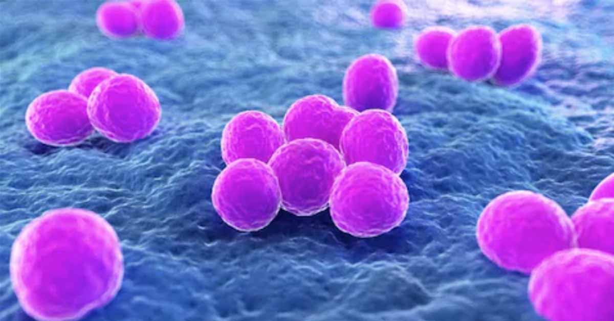 Common Skin Bacterium Puts Children with Severe Eczema at Higher Risk