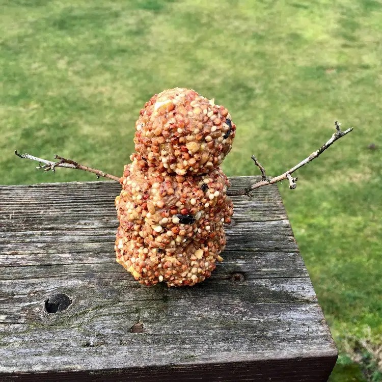 AllNatural DIY Suet Bird Feeders AllMomDoes
