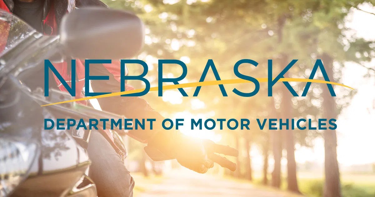 DMV adds online service for temporary drivers licenses Kbear Country