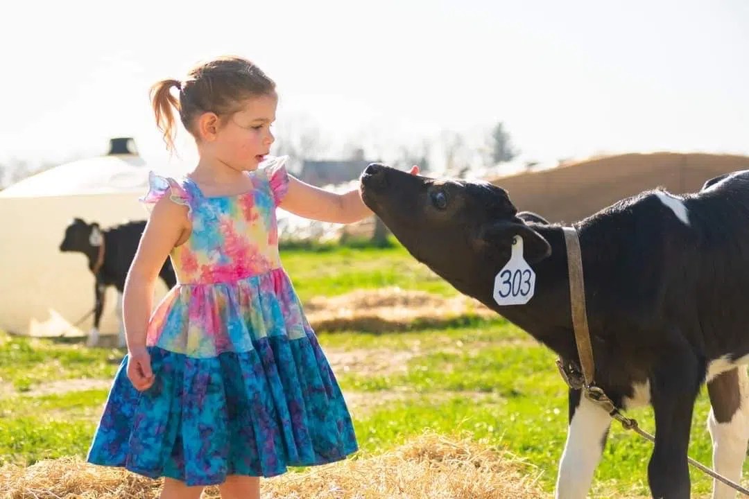 Meet the Winnebago County June Dairy Month event host farm, Olson Farms