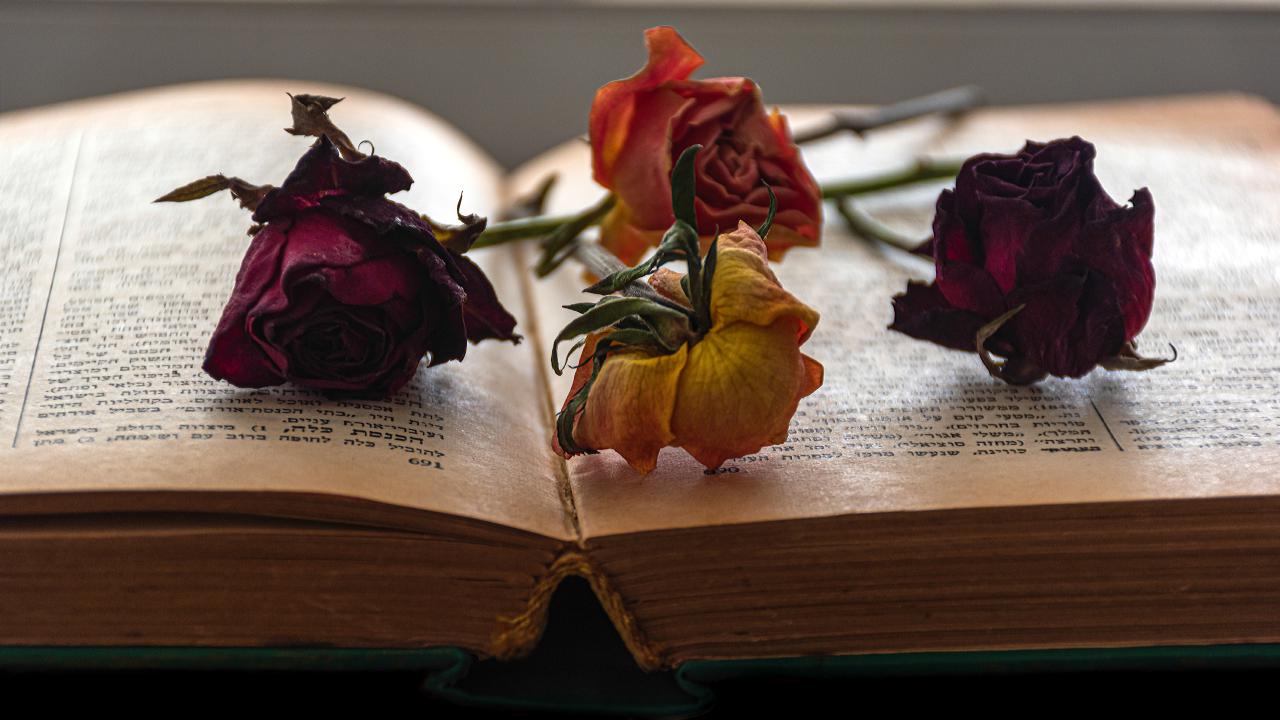 Dr. Heidegger's Experiment 🪶 Short story