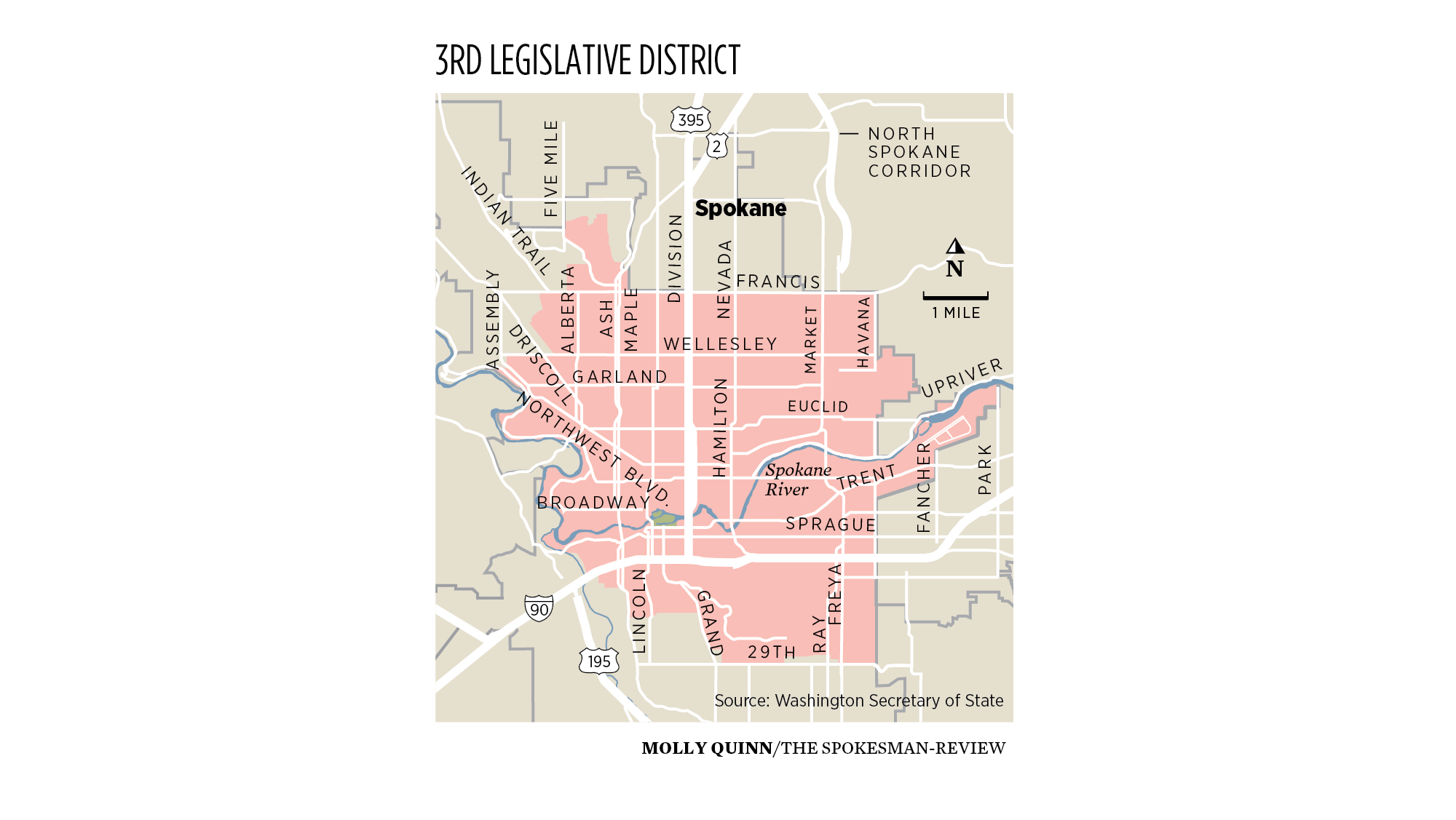 Senate, Legislative District 3 (central Spokane) 2020 Washington