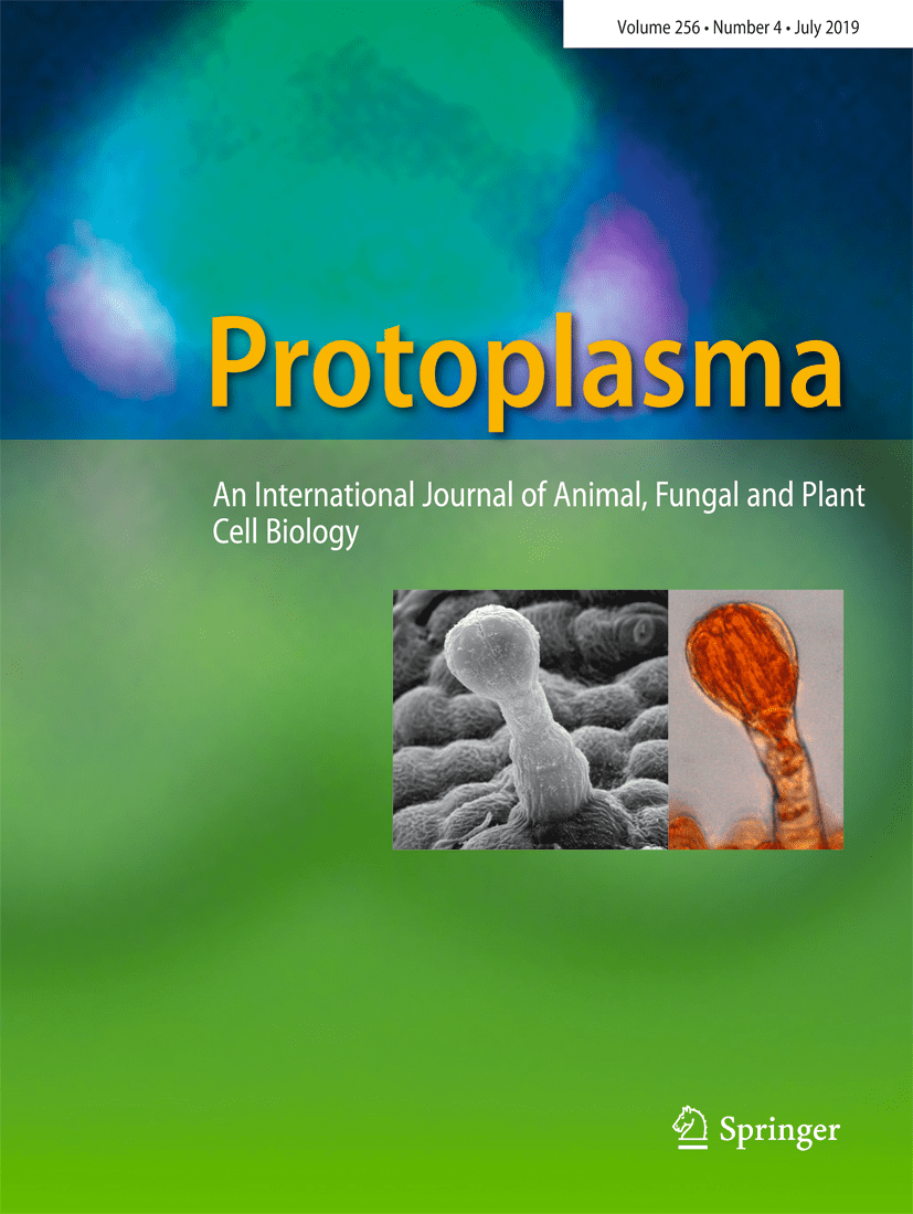 Taming the fire—transcription factors for redox control in animals and plants Protoplasma