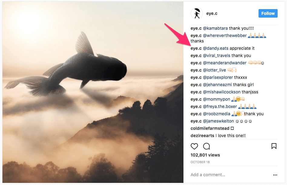 Fish Captions For Instagram