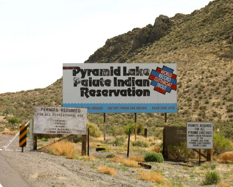 The Haunting Legend of the Water Babies from Pyramid Lake