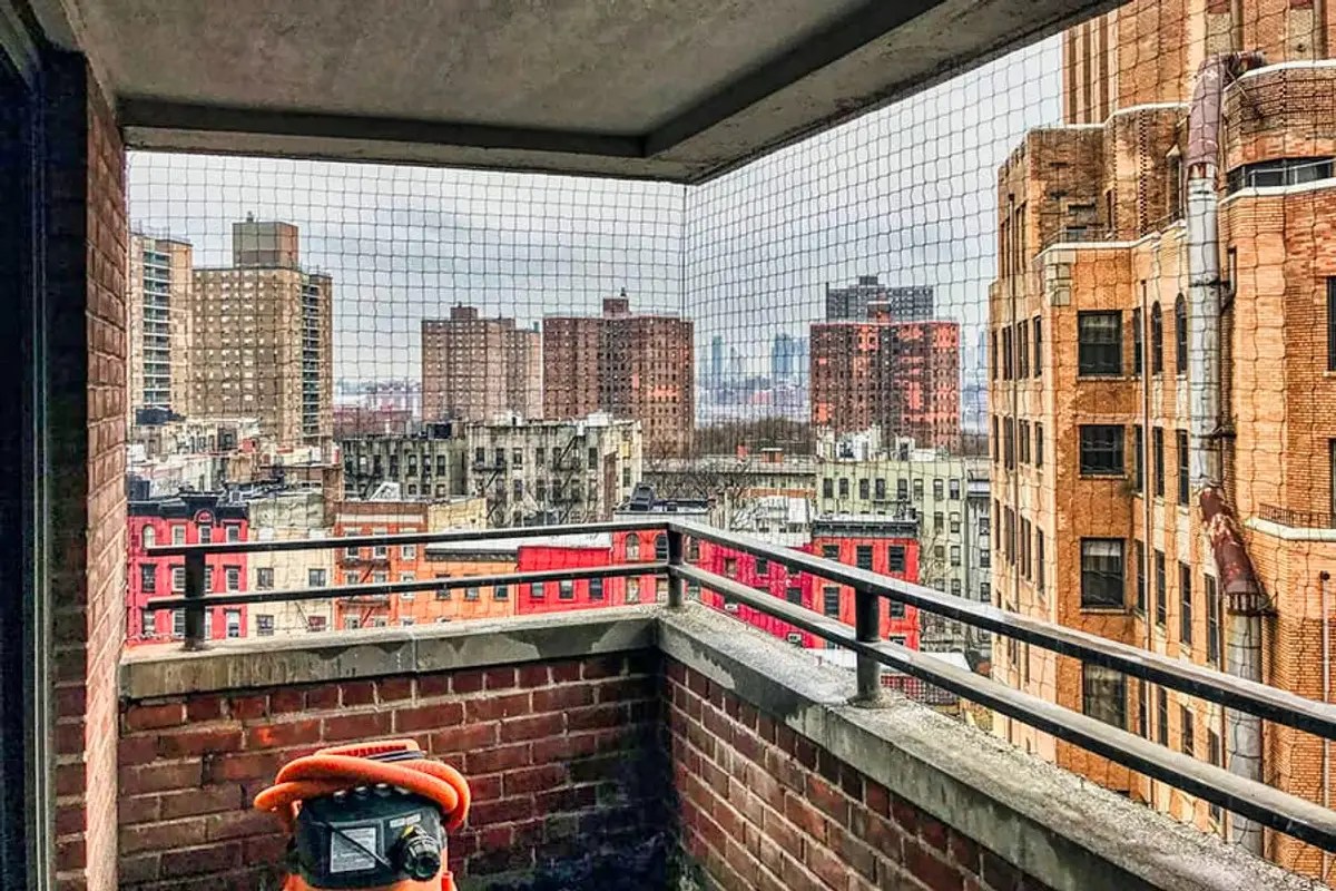 Keep Pigeons Off NY Balconies Our Pest Control Blog Standard Pest