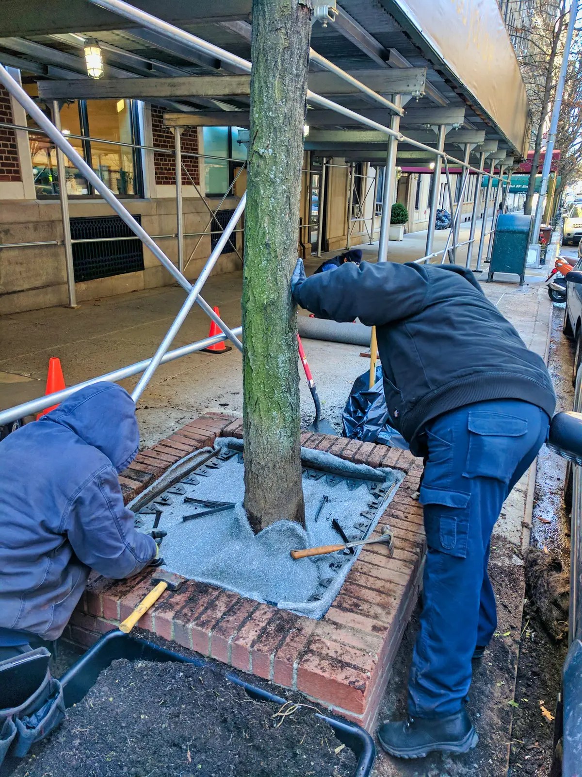 Exclusion Strategy Our Pest Control Blog Standard Pest Management