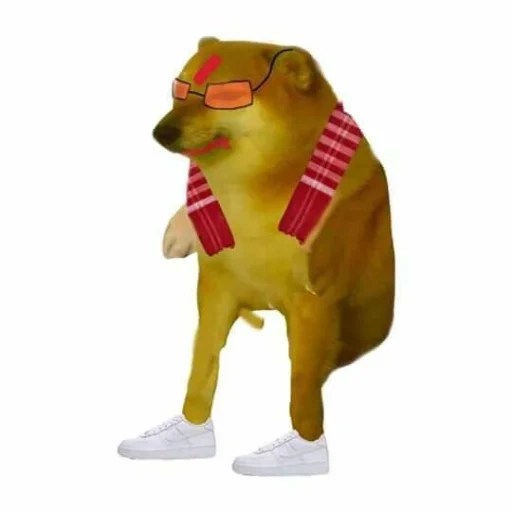 Doge / dogii_memes — Telegram Stickers Pack