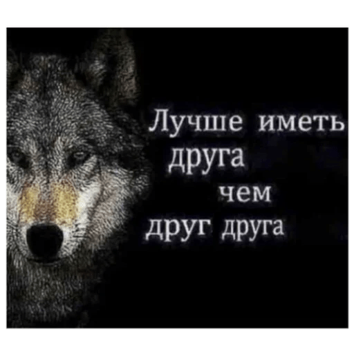 Wolfs — WhatsApp Stickers Pack