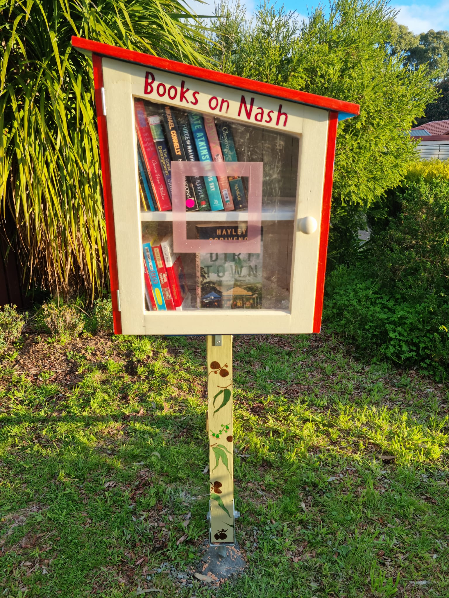 Books on Nash Street Library Australia