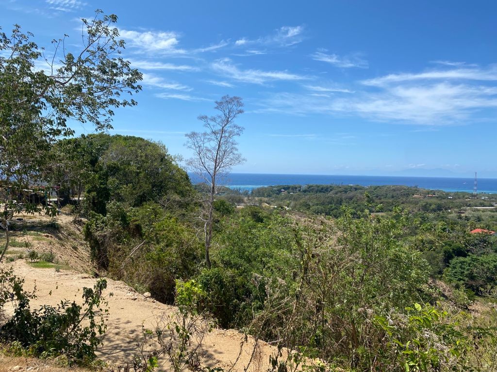 OCEAN VIEW LOTS IN FRENCH CAY BIG Real Estate Roatan