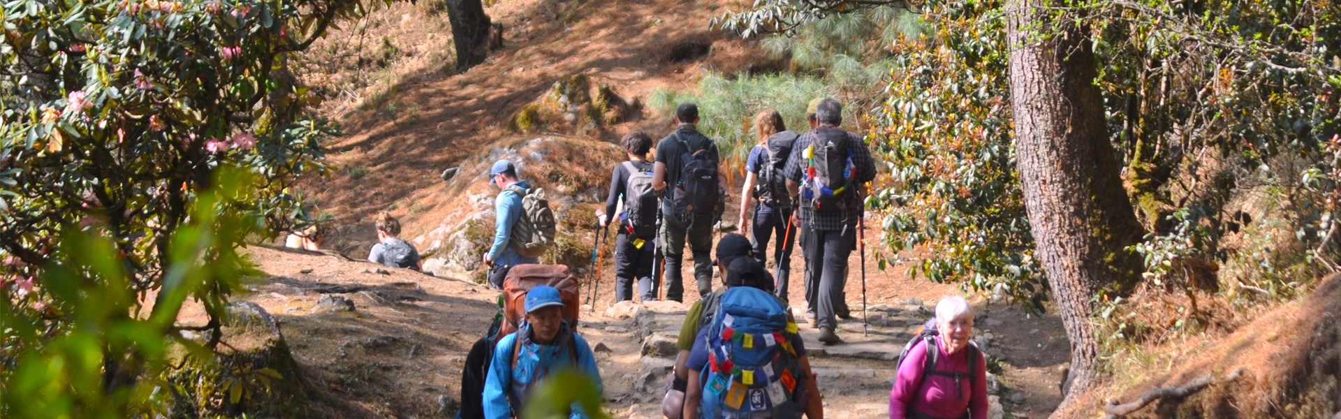 Nepal Trekking Packages, Book Best Treks at Cheapest Price