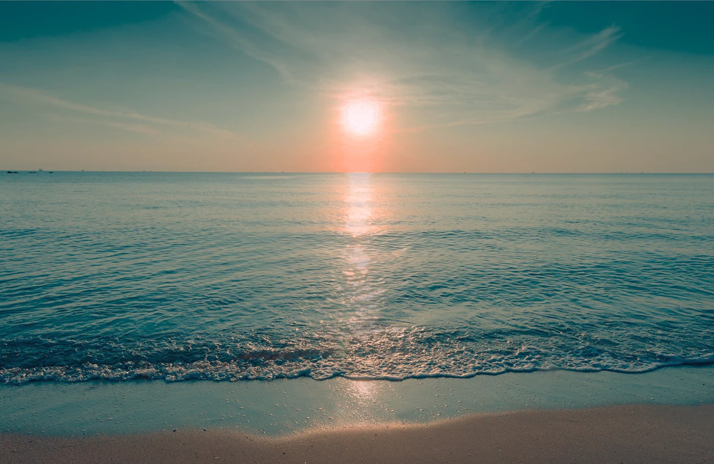 Sunglass Hut Lens Replacement Australia at Gwendolyn Ortego blog