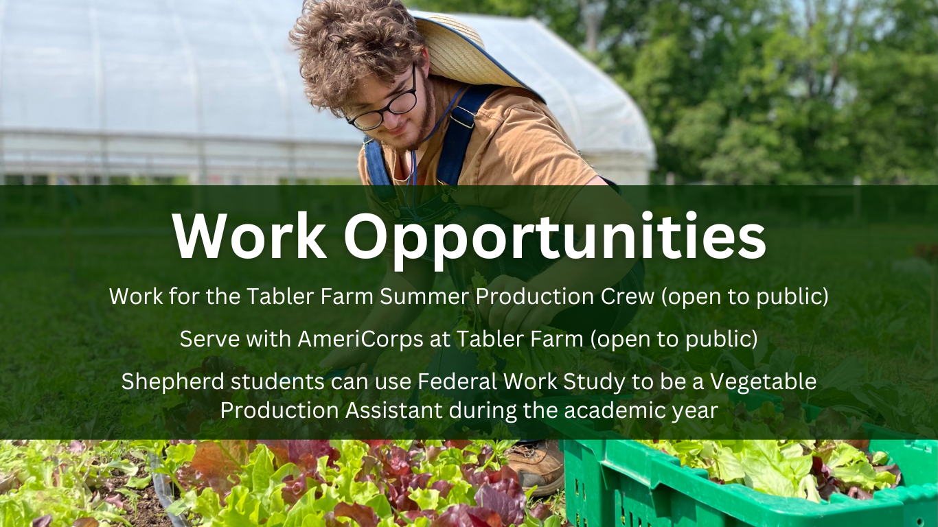 Shepherd University Sustainable Agriculture Tabler Farm Work