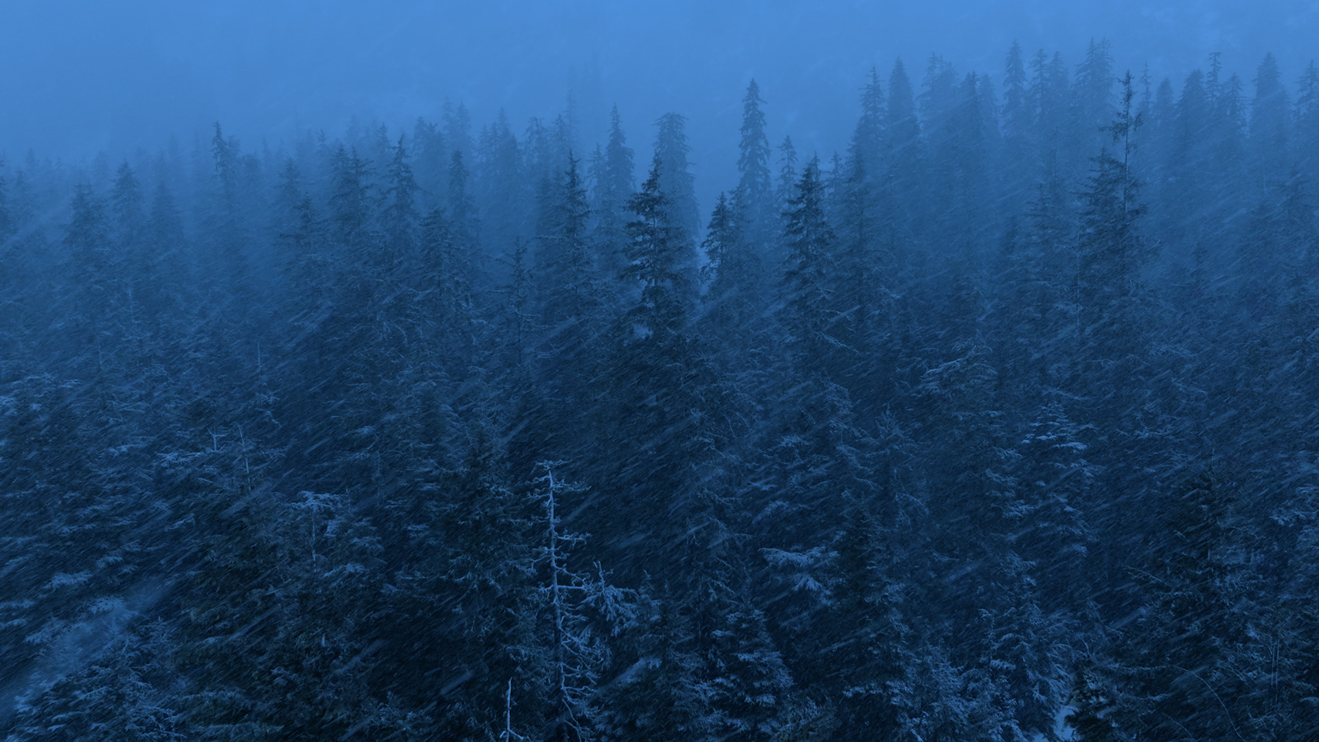 Cherry barbie onlyfans free in Tokyo and decided I needed