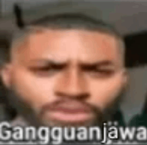 Jawa Java GIF - Jawa Java Gangguan jawa - Discover & Share GIFs