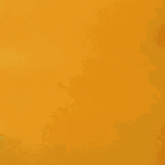 Summer Picnic GIF Summer Picnic Miller Time Discover & Share GIFs