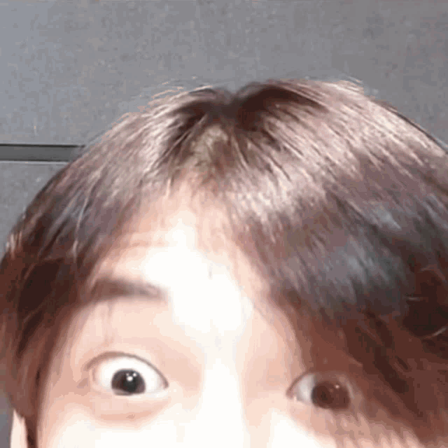 Yeonjun Cat GIF Yeonjun Cat Yeonjun Cat Discover & Share GIFs