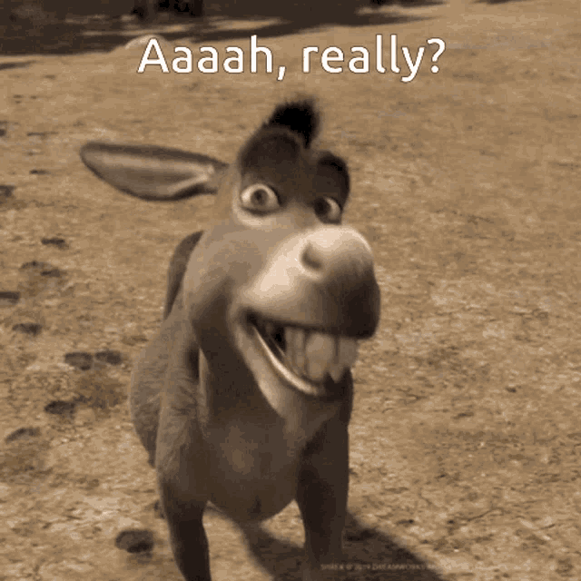 Really Donkey GIF Really Donkey Ahhh Discover & Share GIFs