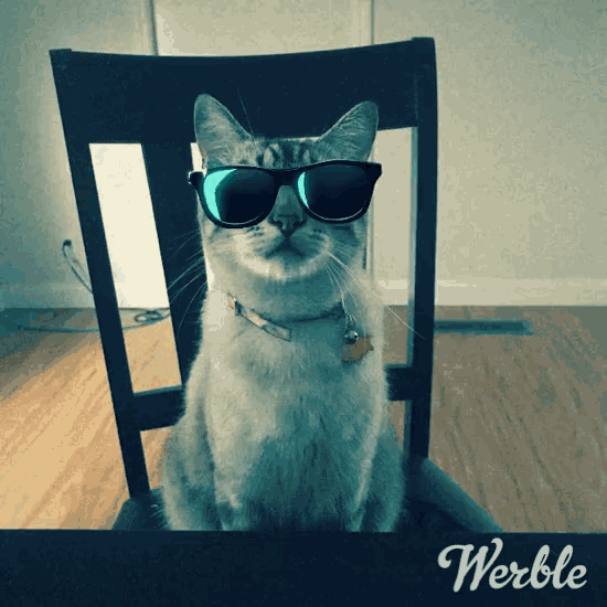Glasses Boss GIF Glasses Boss Car Discover & Share GIFs