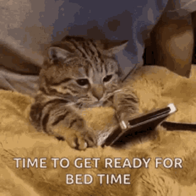 Bed GIF Bed Discover & Share GIFs