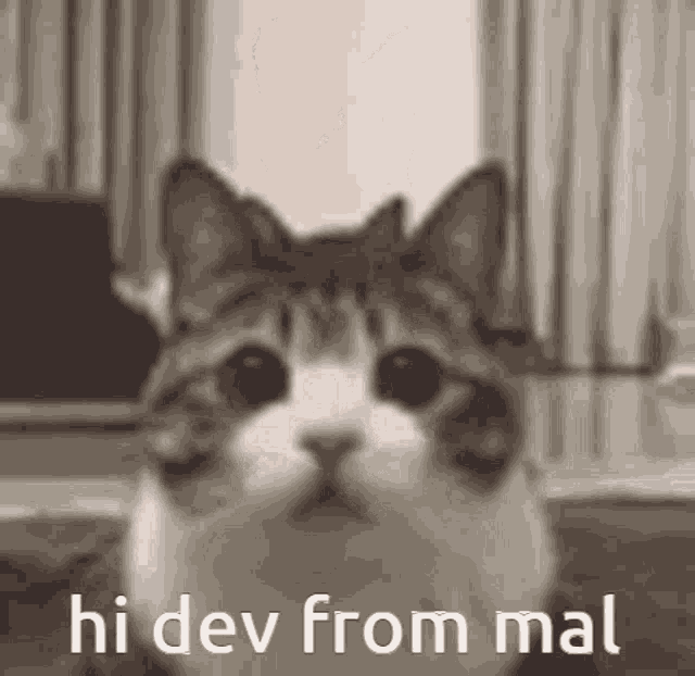 Dev Dev Crash GIF Dev Dev Crash Cats Descobrir e Compartilhar GIFs