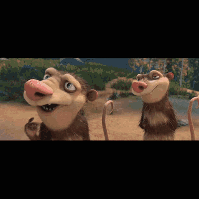 Burro GIF Burro Discover & Share GIFs