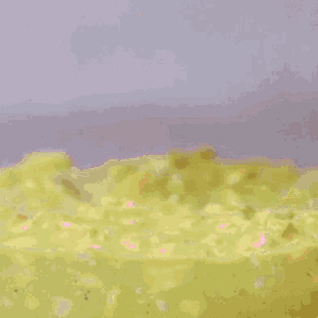 Delicious GIF DELICIOUS Discover & Share GIFs