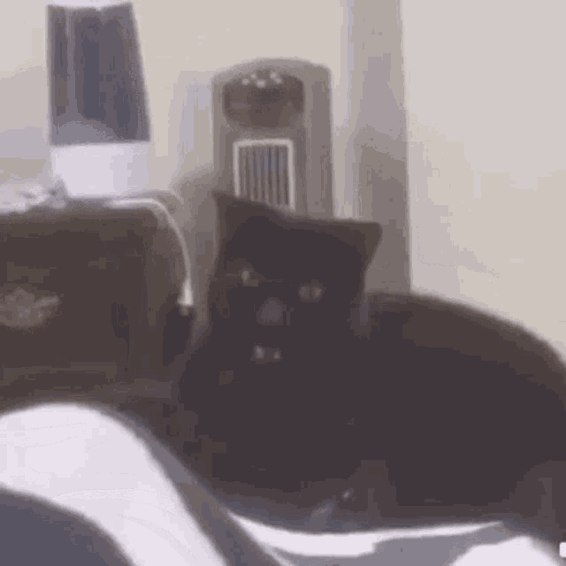 Cat Bite GIF Cat Bite Power Up Discover & Share GIFs