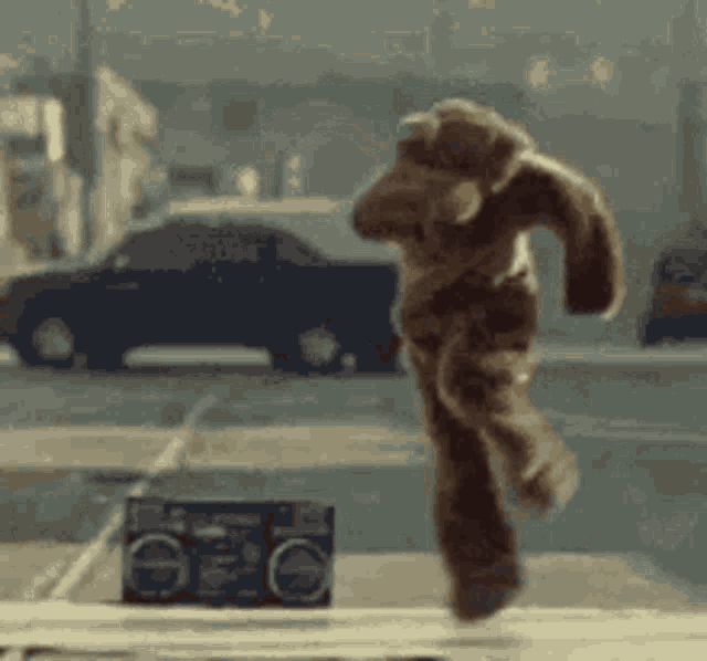 Bear GIF Bear Discover & Share GIFs