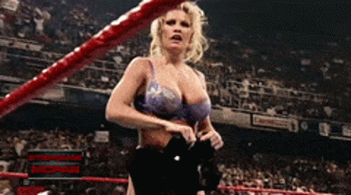 Sable Sable Wwe GIF - Sable Sable Wwe Wwe Hall Of Fame - Discover