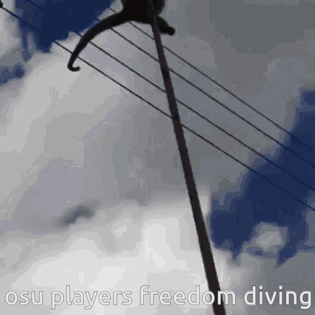 Monkey Jump GIF Monkey Jump Diving Discover & Share GIFs