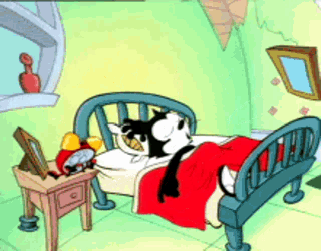 Wtf Is GIF Wtf Is Going Discover & Share GIFs