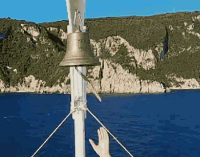 Bell Widm GIF Bell Widm Reach discover and share GIFs