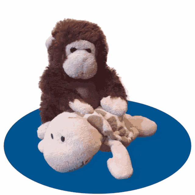 Monkey Stuffed Toy GIF Monkey Stuffed Toy Turtle Discover & Share GIFs