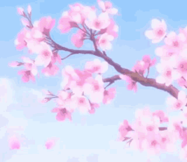 Sakura GIF Sakura Descubrir y compartir GIFs