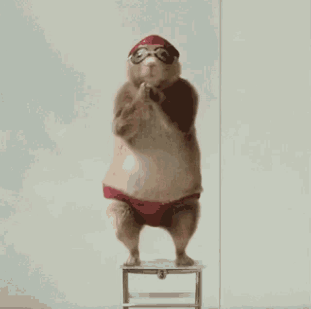 Chipmunk Diving Chipmunk Dancing GIF Chipmunk Diving Chipmunk Dancing