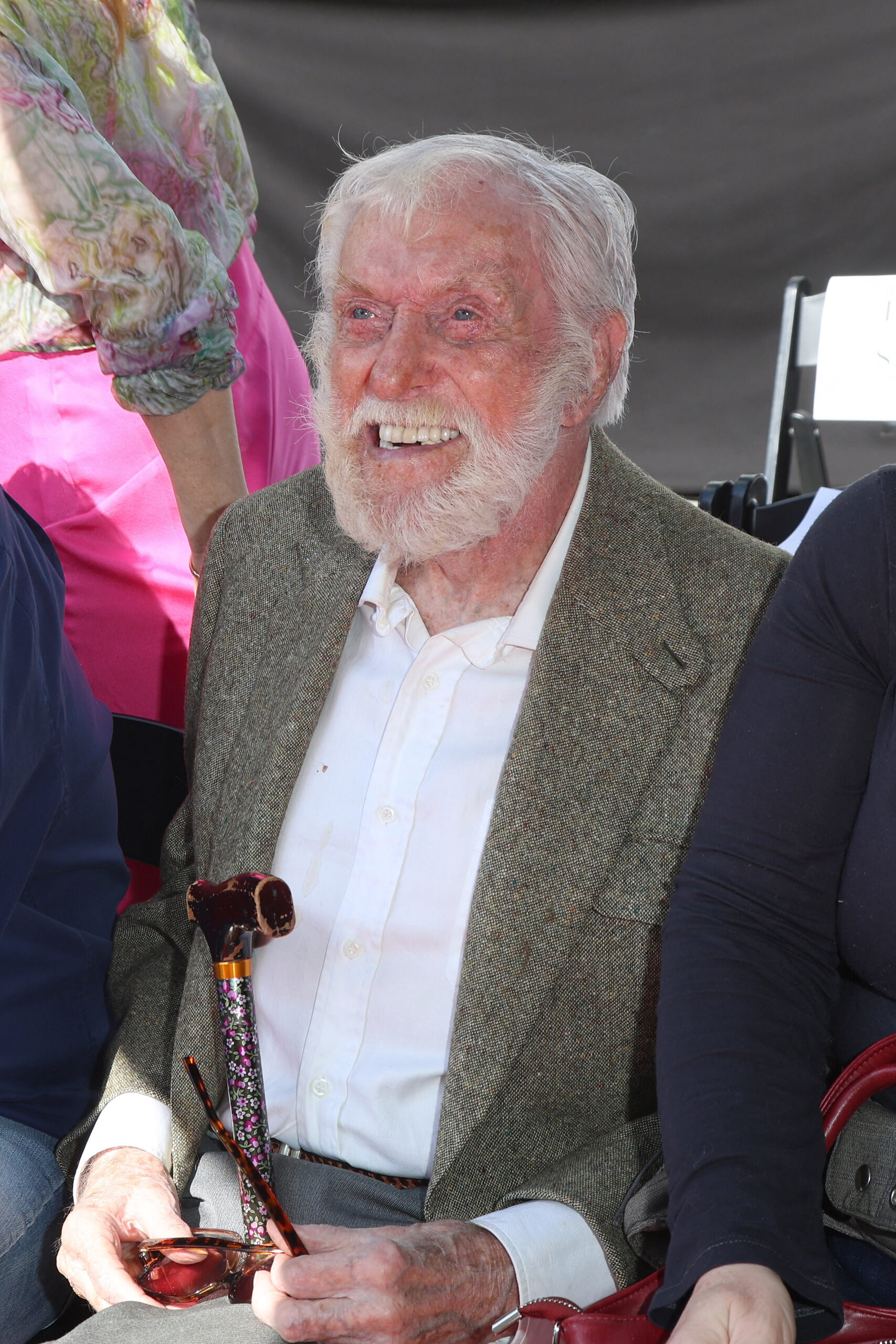 Dick Van Dyke Reveals The Iconic Role He Regrets Turning Down