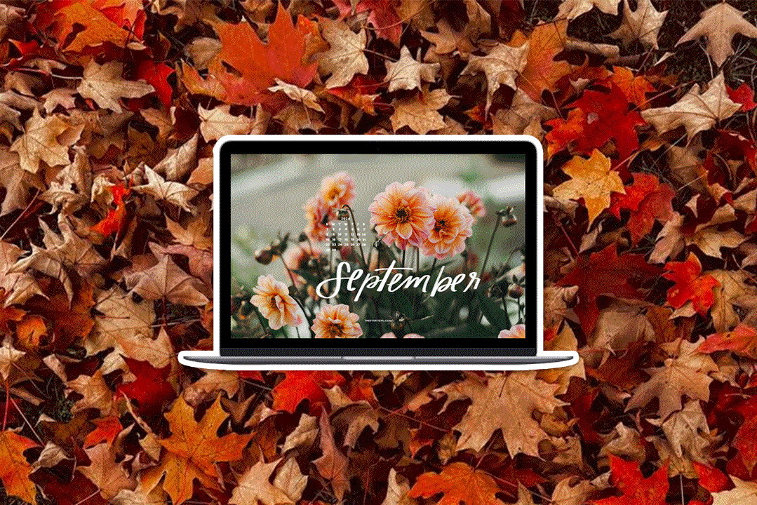 Free, Downloadable Tech Backgrounds The Everygirl