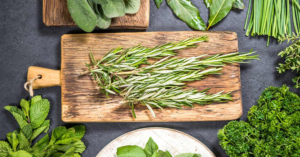Top 12 Antioxidant Herbs for Better Health The Good Inside at