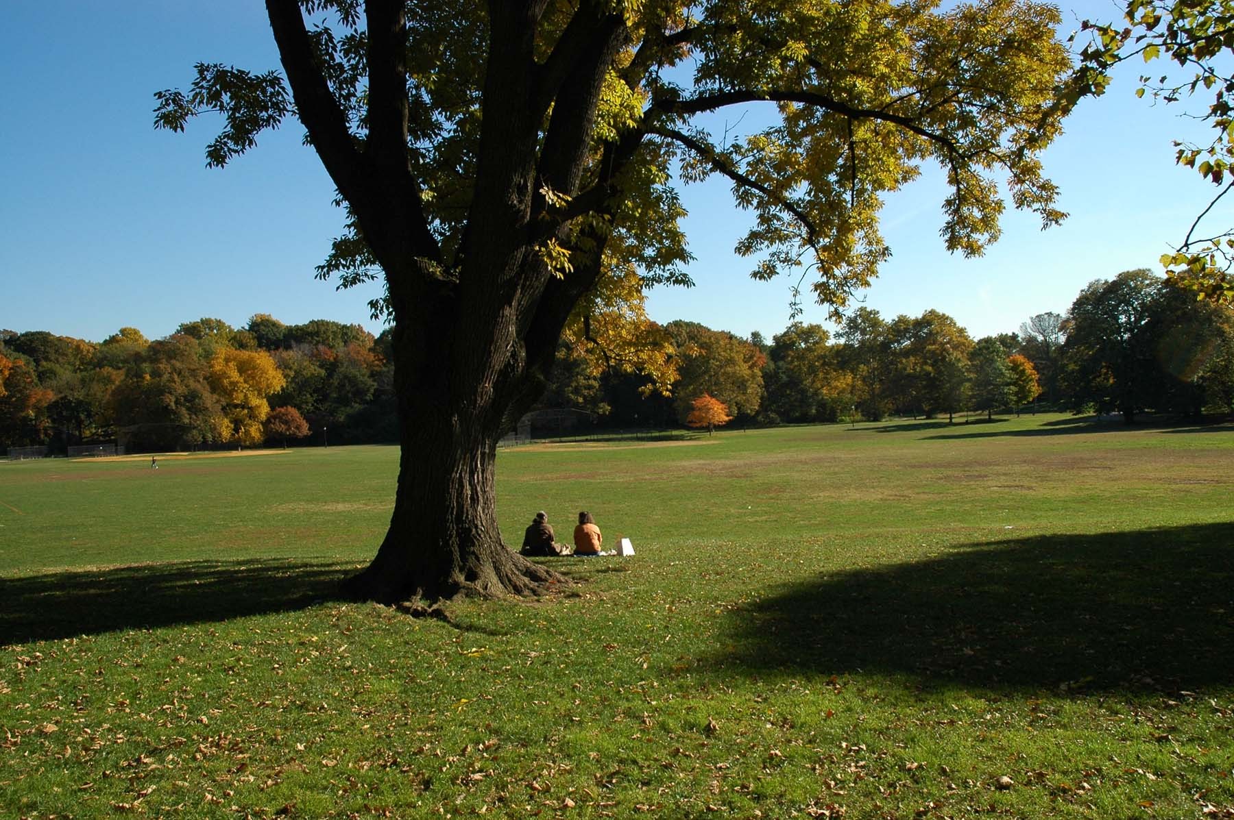 Best Brooklyn attractions from Brooklyn Bridge to Prospect Park