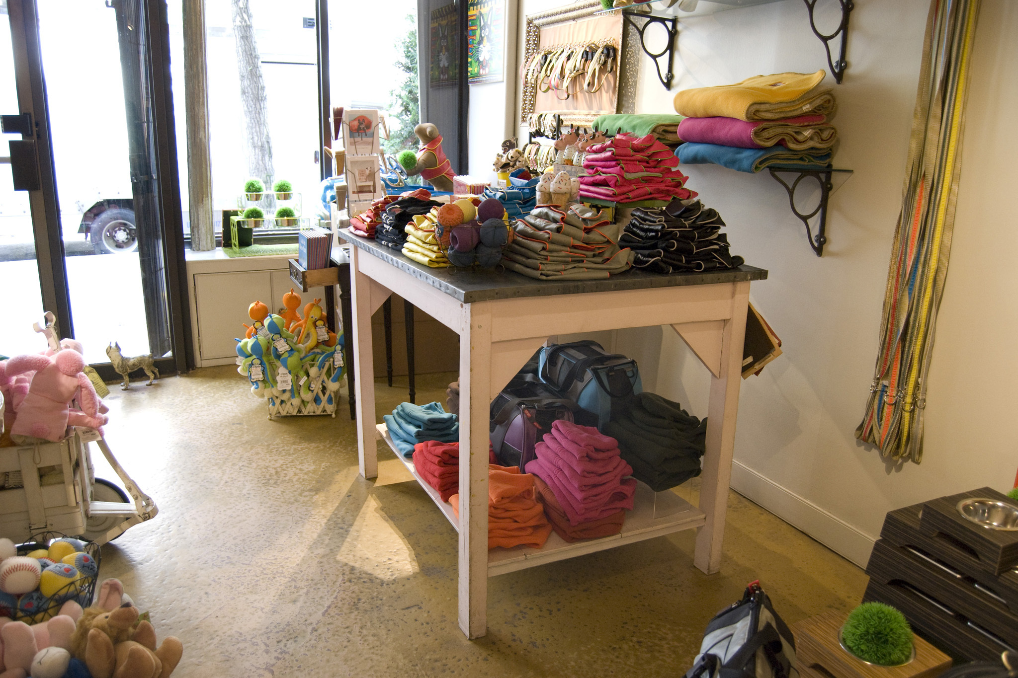 Zoomies Shopping in West Village, New York