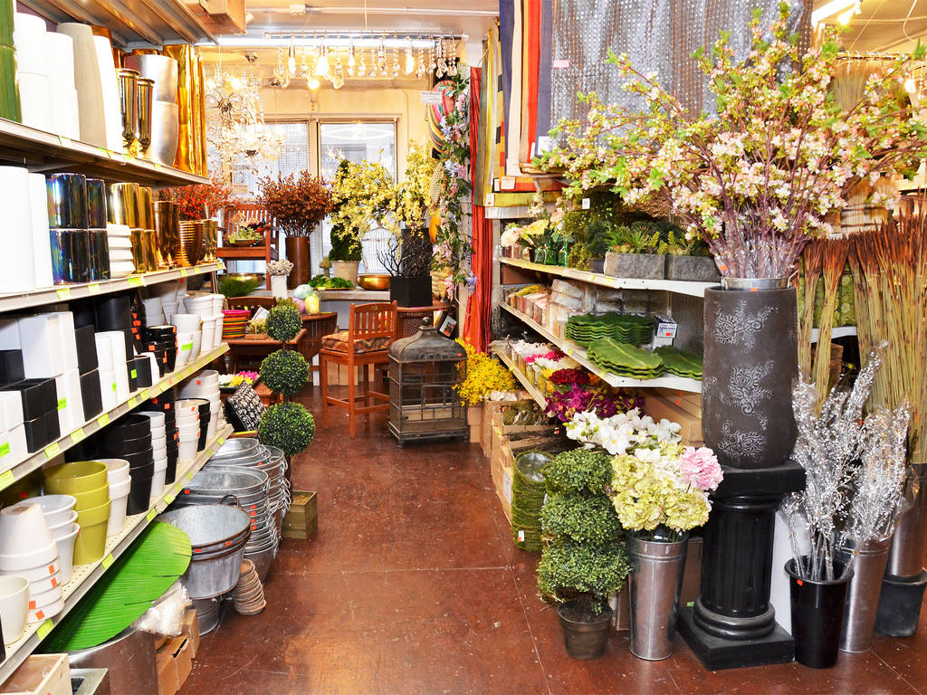 Best Plant Stores NYC Offers To Create An Indoor Jungle