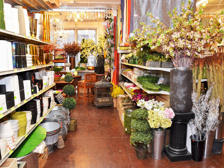 Best Plant Stores NYC Offers To Create An Indoor Jungle