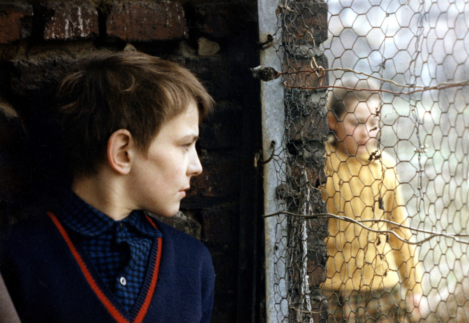 The 100 best French films: 50-41