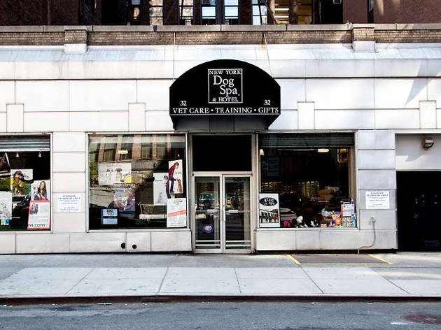 New York Dog Spa & Hotel Shopping in Flatiron, New York