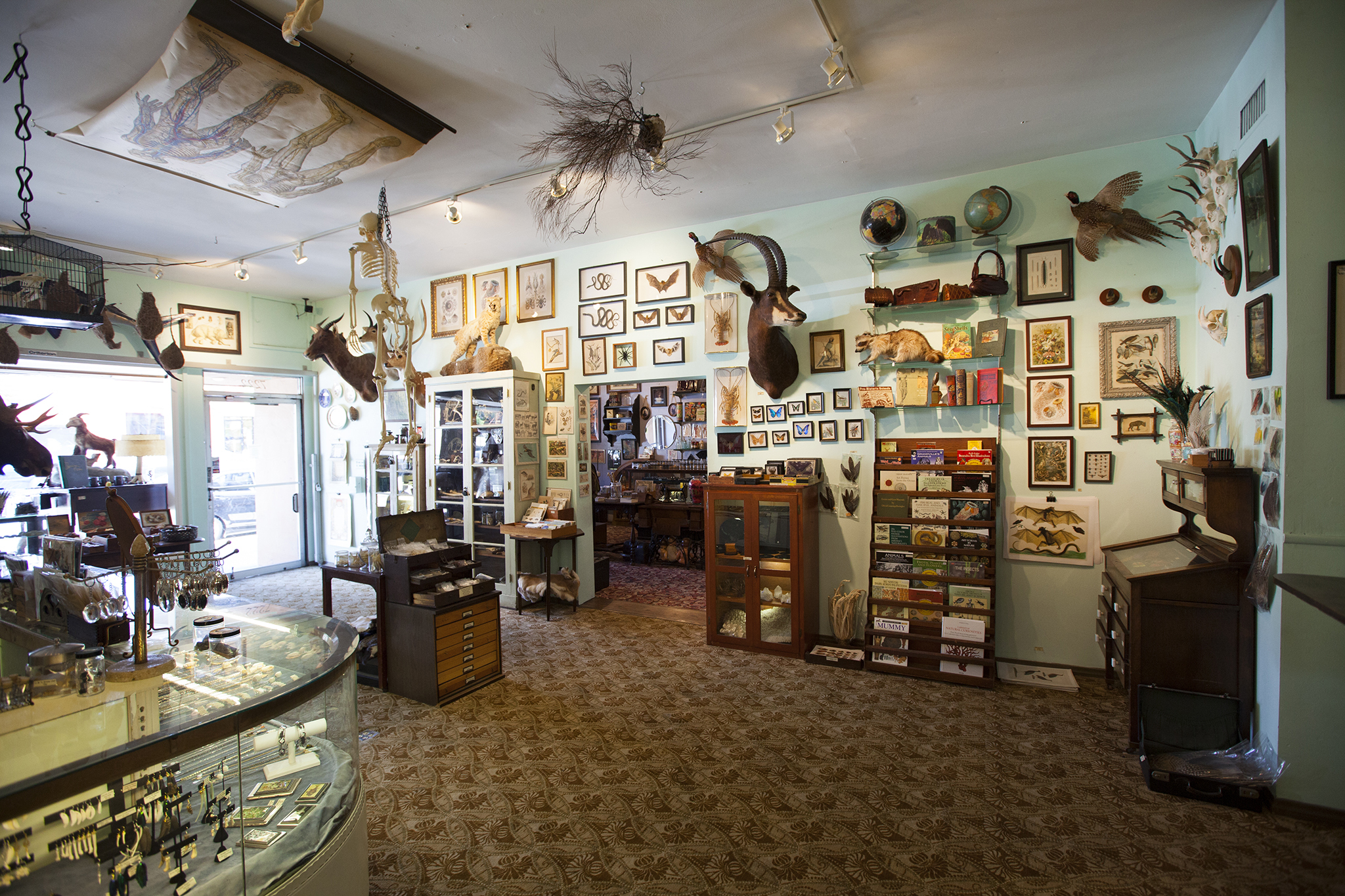 Necromance Shopping in Melrose, Los Angeles